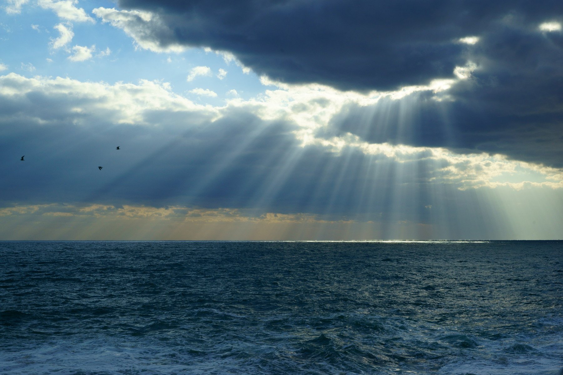 asia, korea, south korea, sea, seascape, horizontal, light, birds, clouds, sky, waves, , Shin