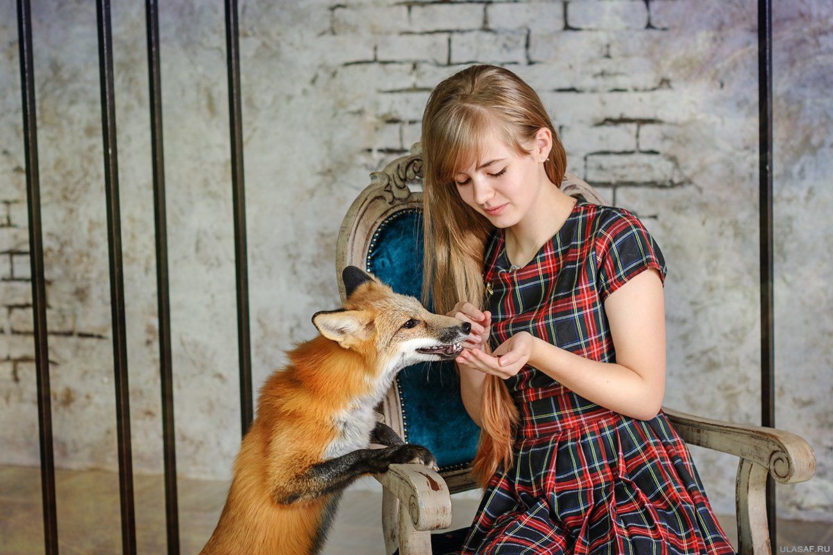 Fox, Girl, Portrait, Девочка, Лисенок, Юлия Сафонова