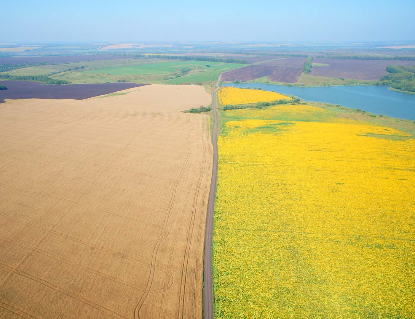 #aero #aerial поля, пруд, пашня, пшеница, подсолнечник, дорога, Борис Резванцев