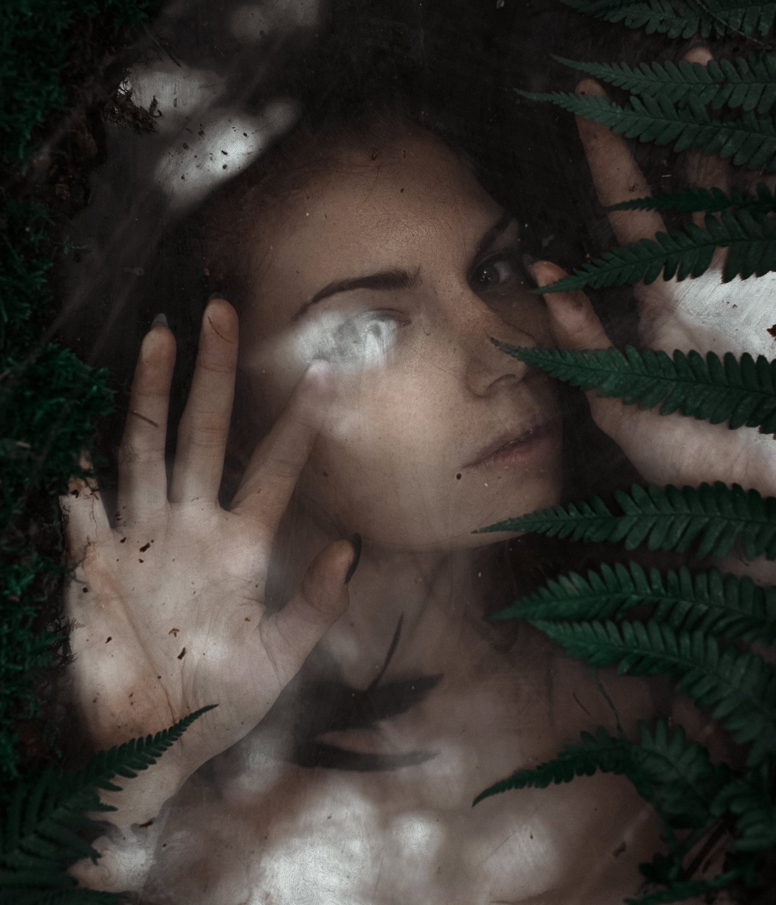 девушка портрет сказка лес лицо глаза волосы , Комарова Настя