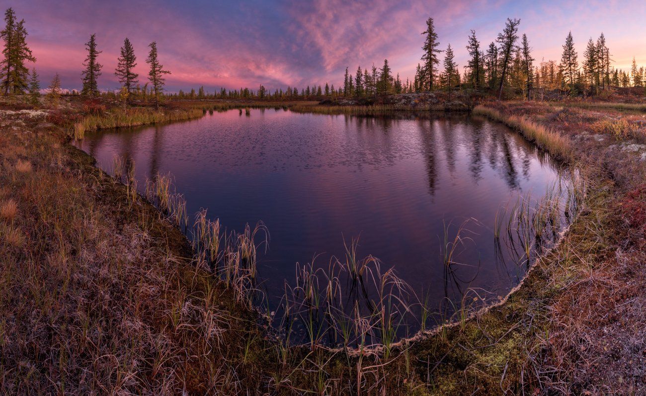 озеро, вечер, закат, сибирь, янао, природа, арктика, пейзаж, север, красота, Андрей Снегирёв