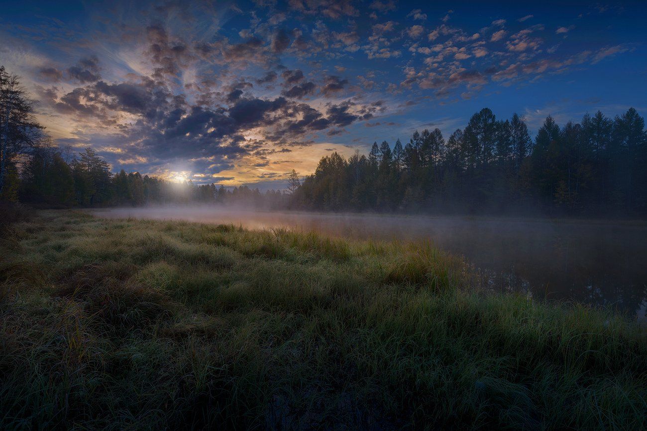 тайга, озеро, рассвет, трава, лес, деревья, облака, небо, туман, Дмитрий Демидчик