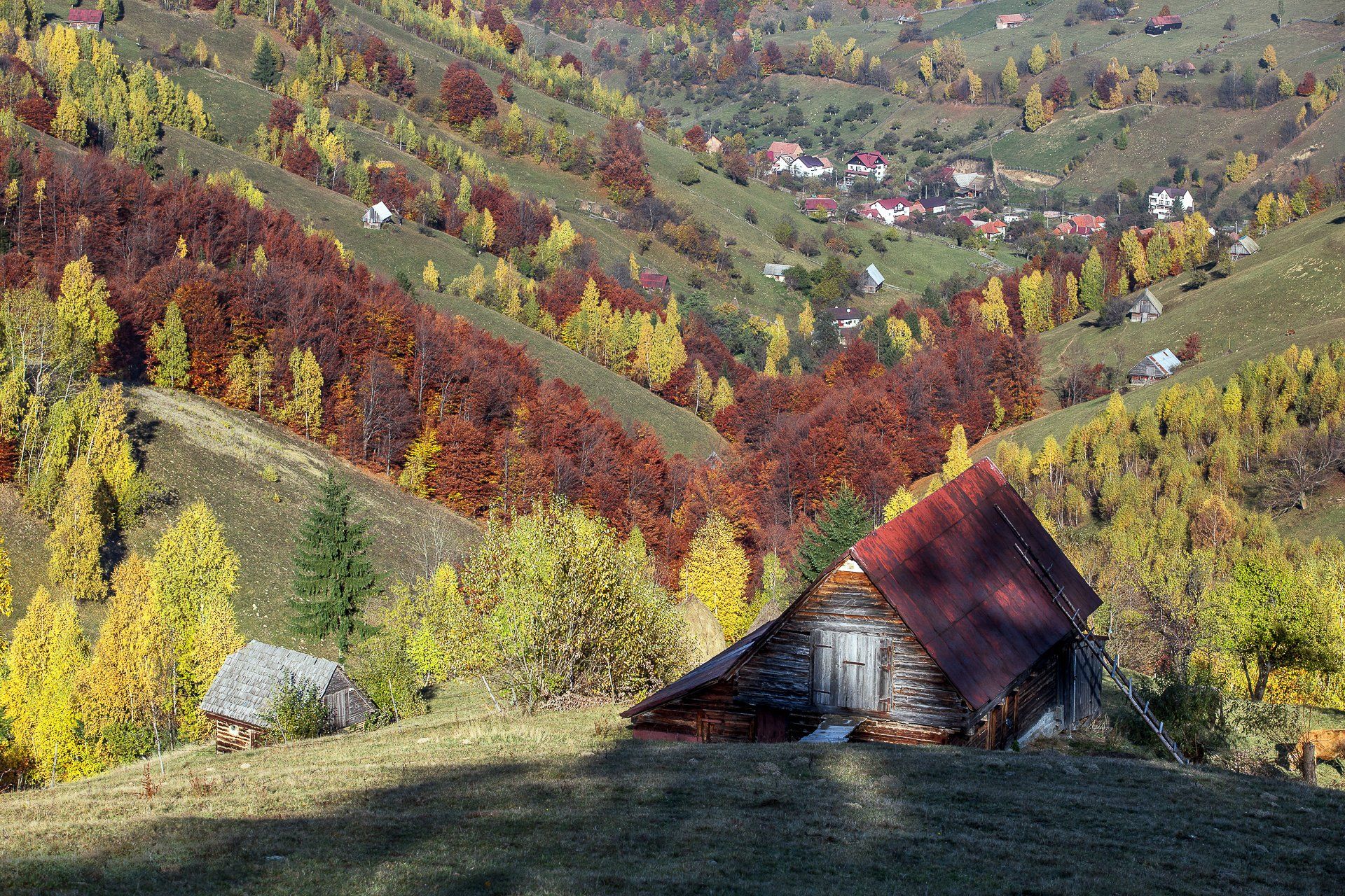 house,autumn,hills,trees,colors,fall, Marius Turc