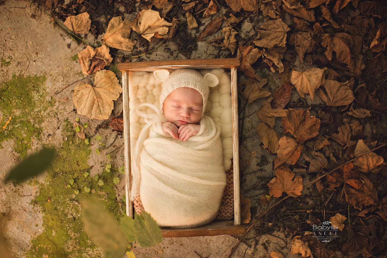 осень, новорожденный, теплые оттенки, листья, виноград,мишка, Анастасия Нагорная
