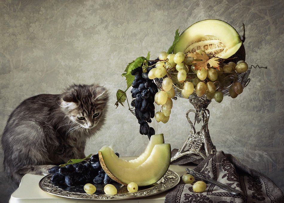 фото, котенок, фруктовый натюрморт, Ирина Приходько