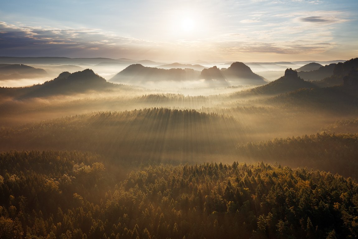 landscape, nature, light, fog, mist, sunrise, germany, saxon switzerland, trees, forest, mood, atmosphere, Martin Rak