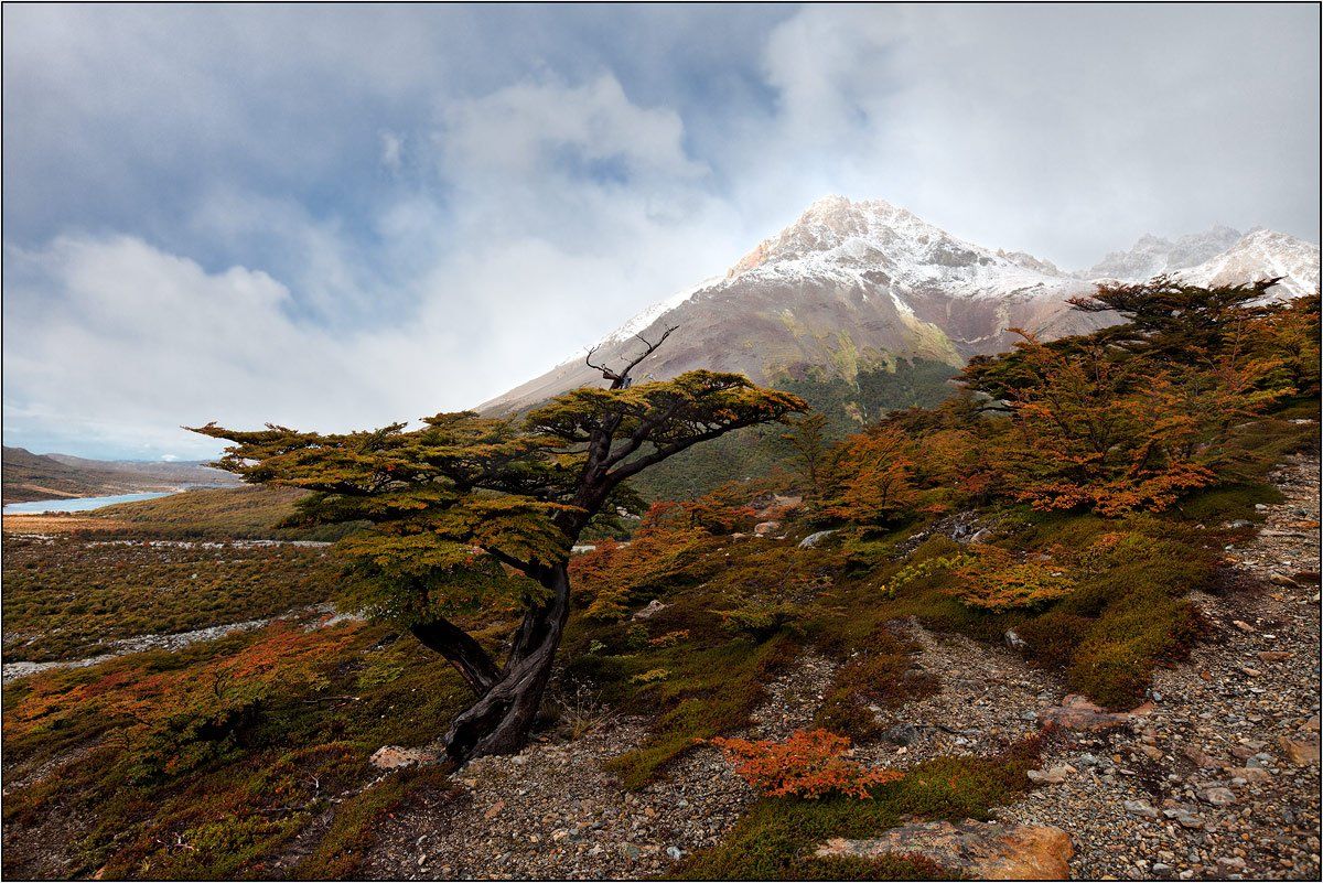 patagonia, argentina, izh Diletant (Валерий Щербина)