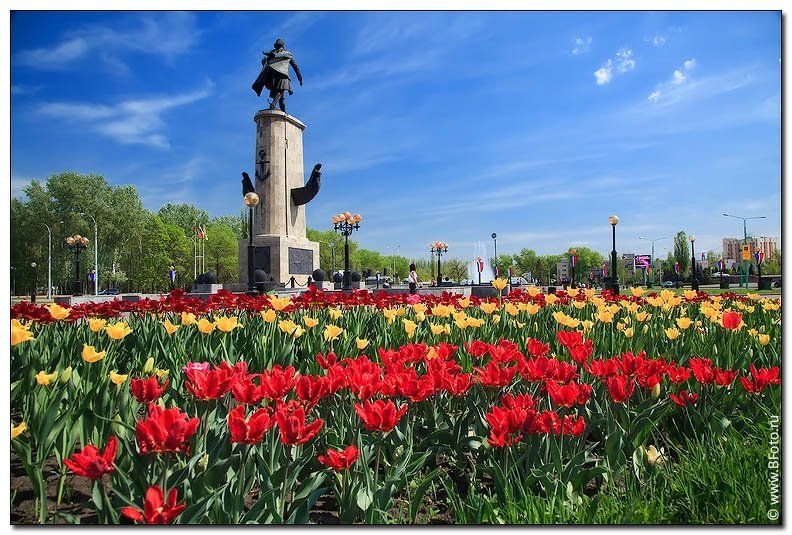 липецк, фото, площадь, город, весна, тюльпаны, открытка, Алексей Строганов
