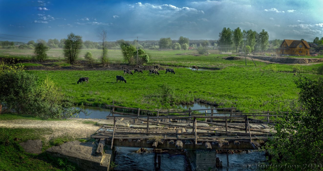 мост, трава, коровы, пейзаж, прошлое лето