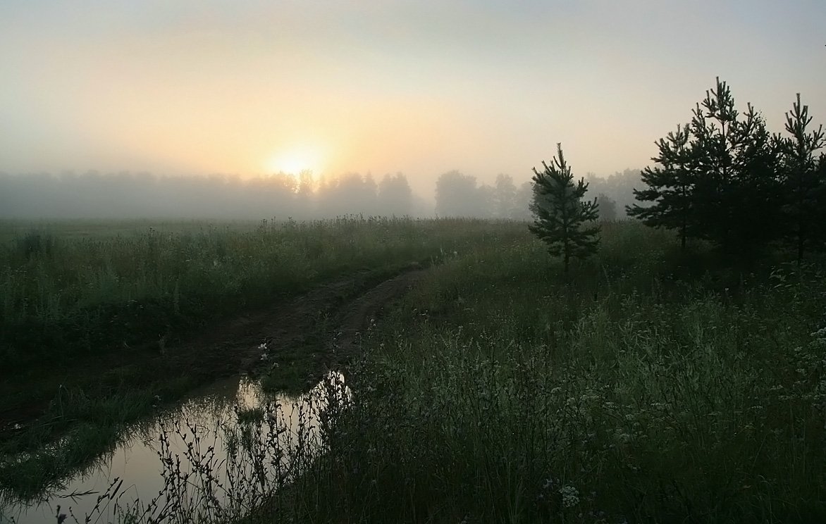 , Василий Черкасский