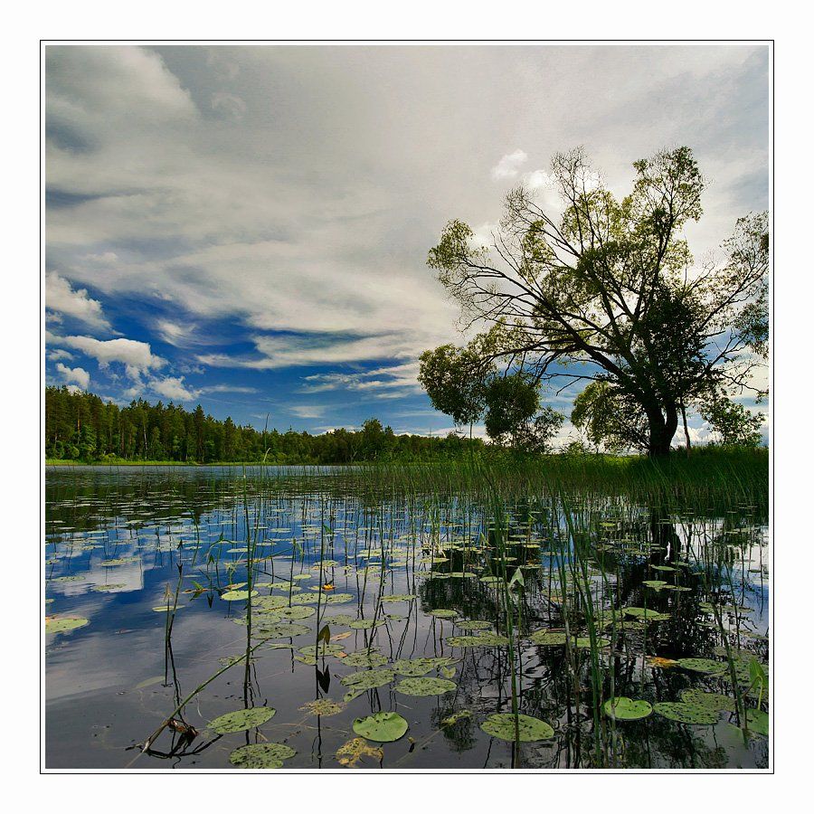 озеро, отражения, остров, пейзаж, дерево, небо, Oleg Dmitriev