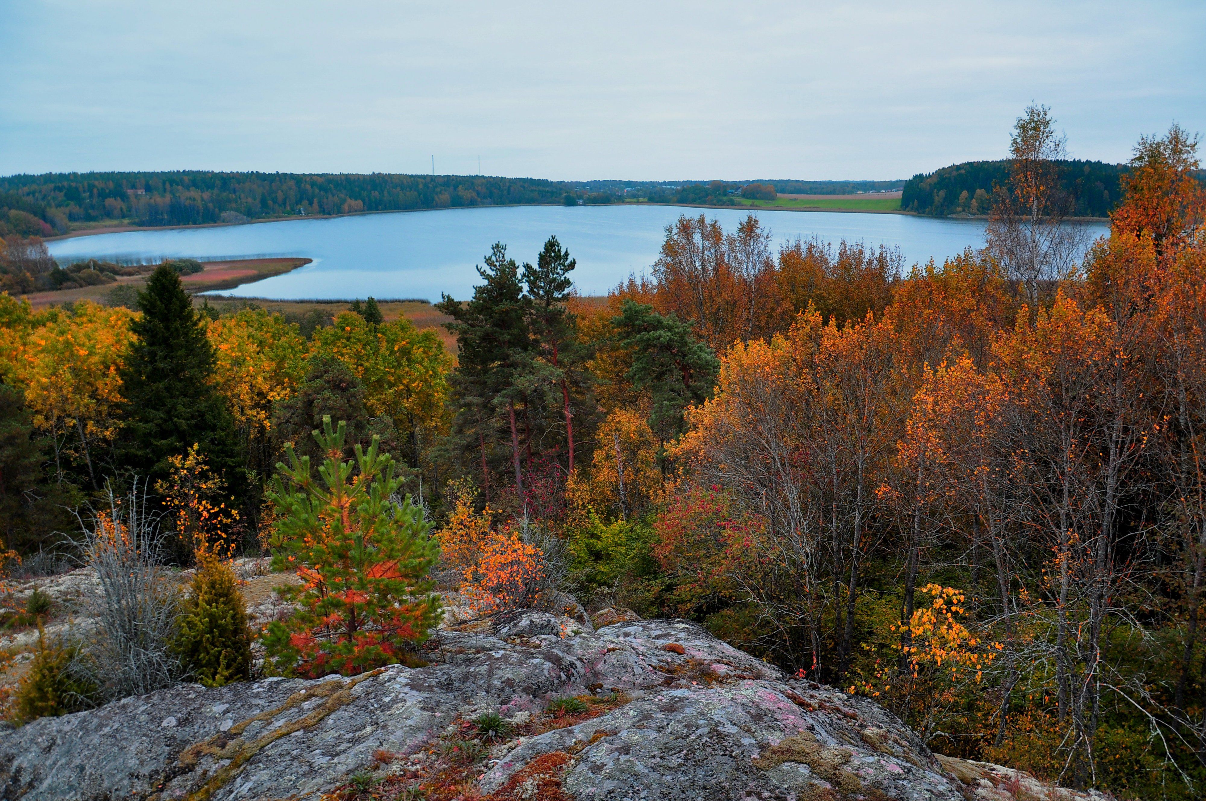 , Лариса Запатрина