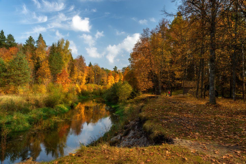 красота, лес, небо, осенний пейзаж, осень, отражение, пейзаж, природа, россия,золотая осень,клены,березы,брянская область, Юлия Лаптева