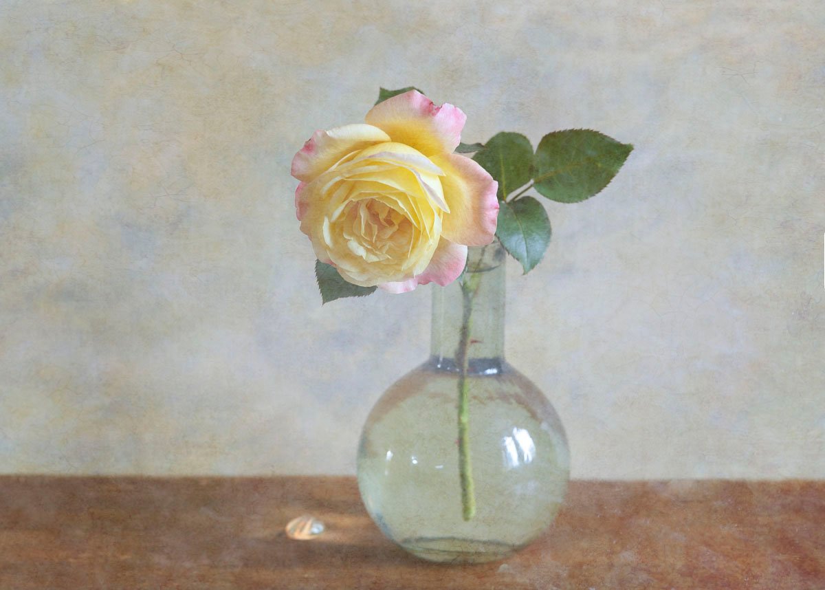роза, цветок, цветы, желтая, ваза, стеклянная, живописно, Игорь Токарев