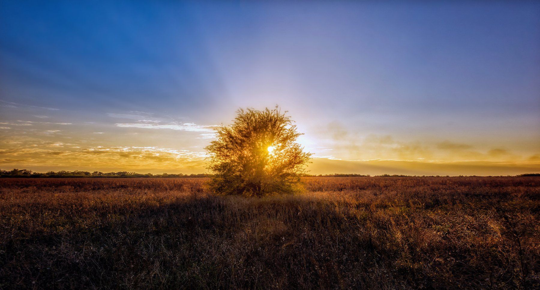sky ,landscape ,sunset, nature, blue, sun, light, tree, green ,rays, Сергей Нестеров