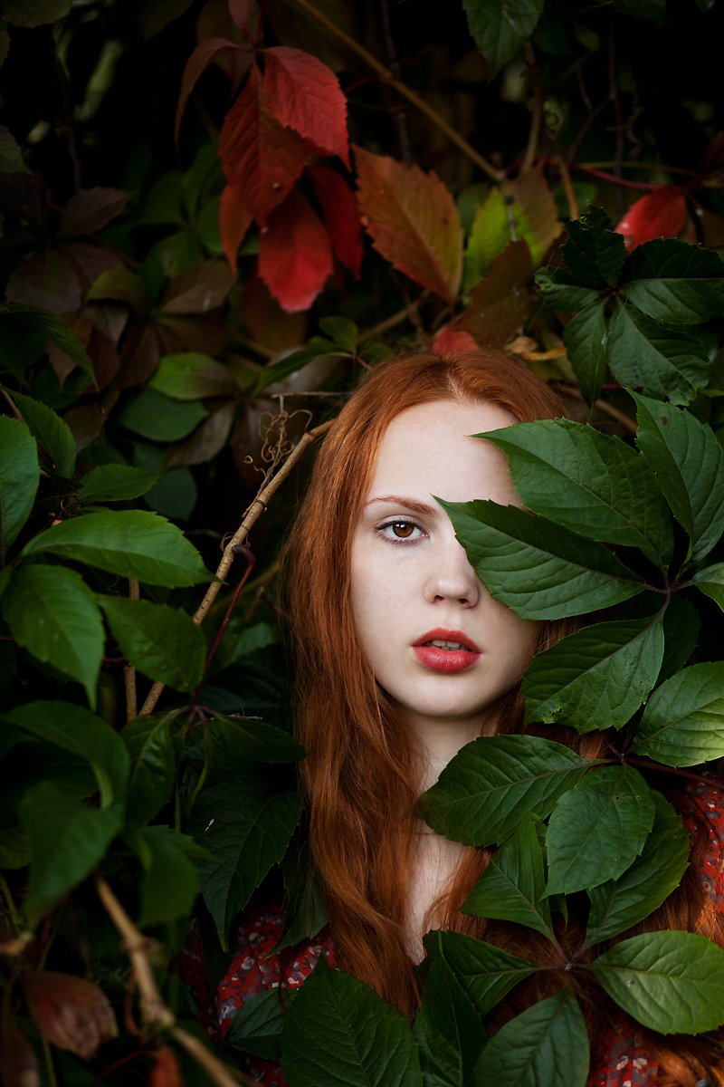 Осень, портрет, модель, арт, рыжая, лес, природа, Ровдо Яна