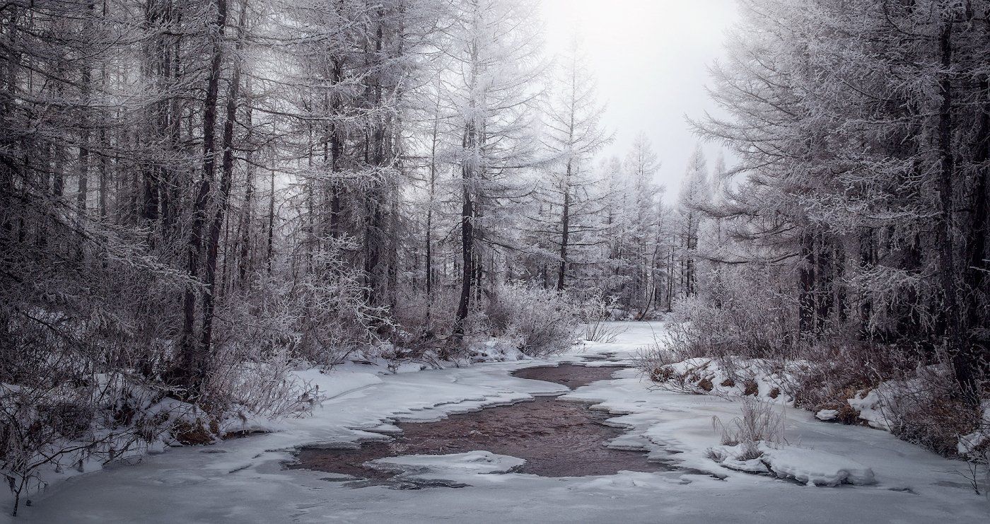 река, лес, снег, деревья, сезон, холод, Дмитрий Демидчик