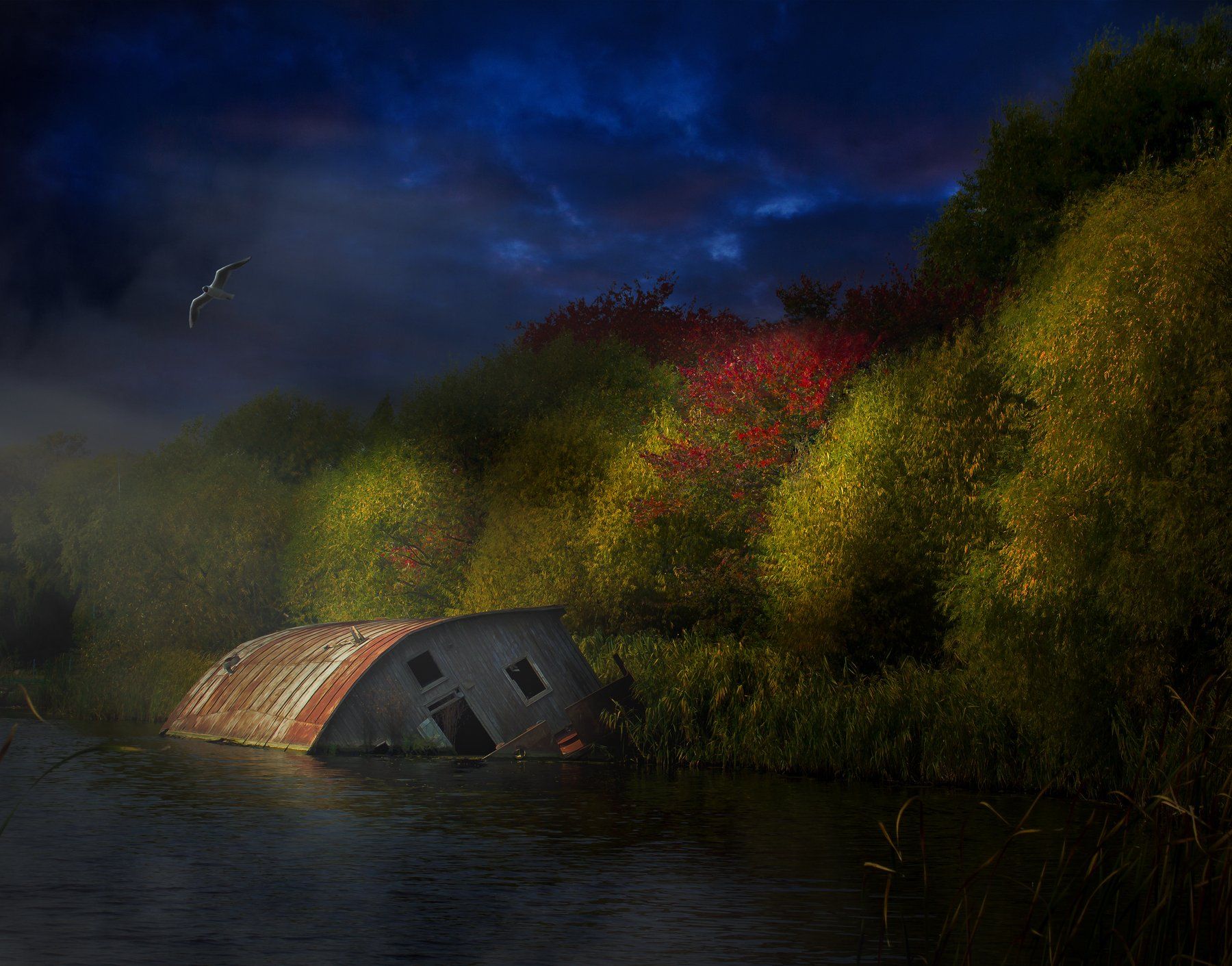 Ночь, Осень, Река, Чайка, Фото Брест