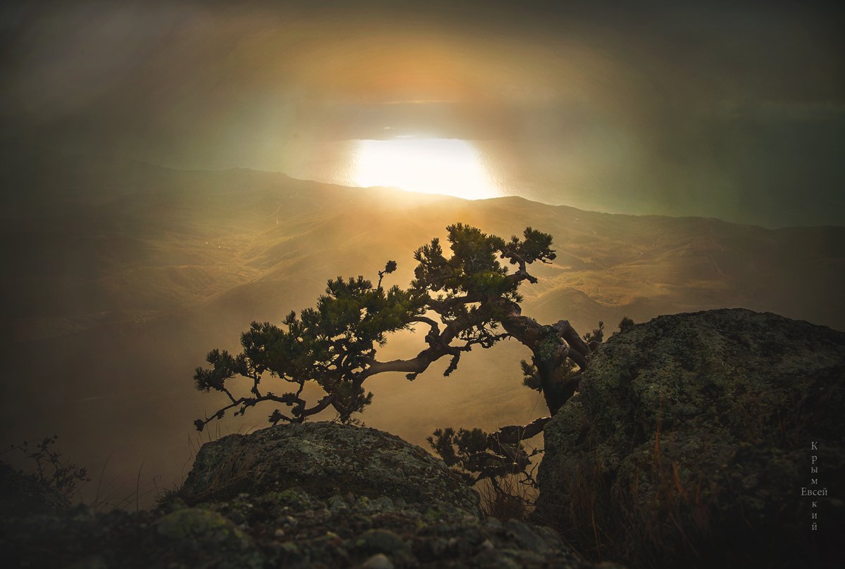 Горы туман, Борис Костарев