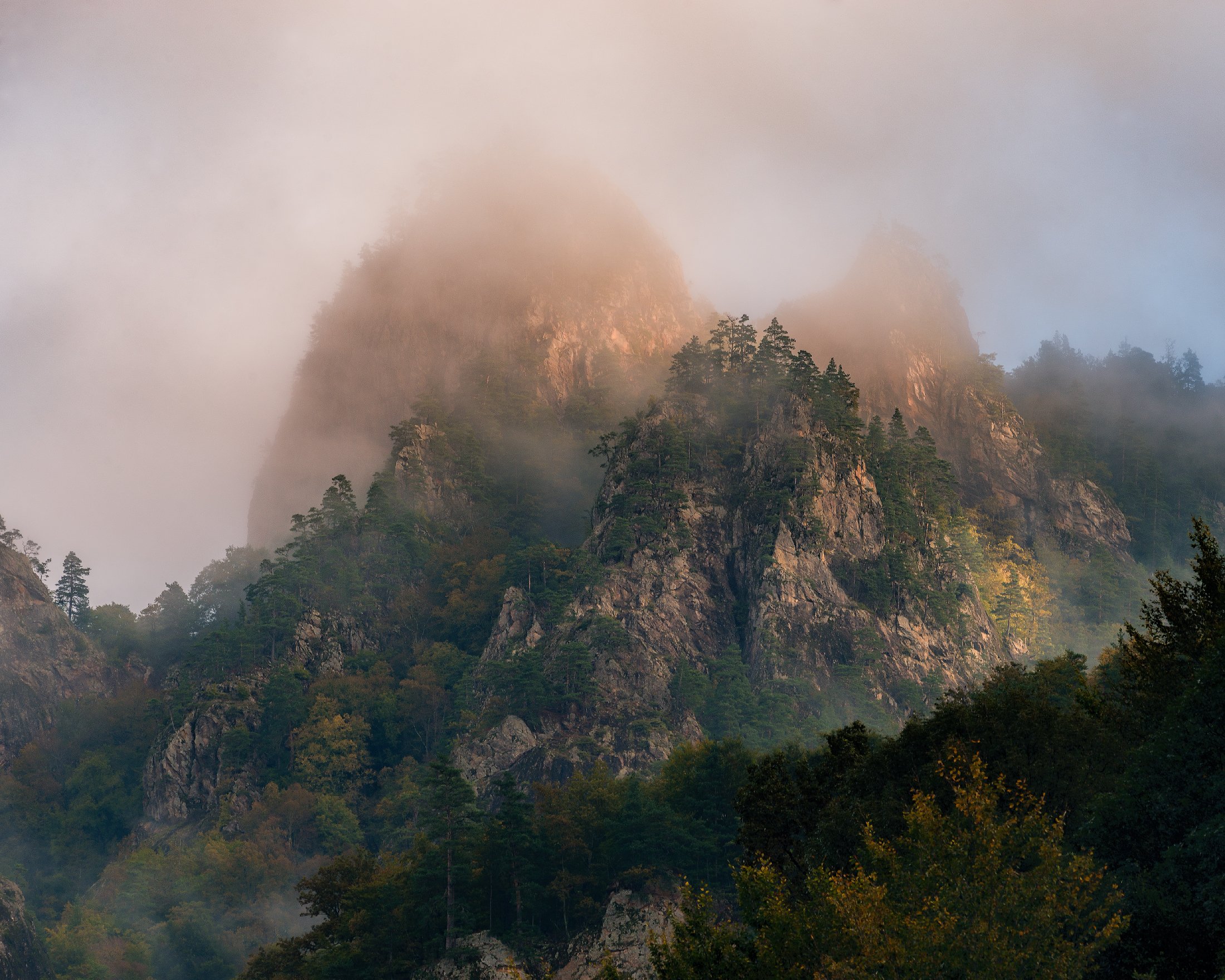 аватар, горы, лес, рассвет, туман , осень, Alexander Plekhanov