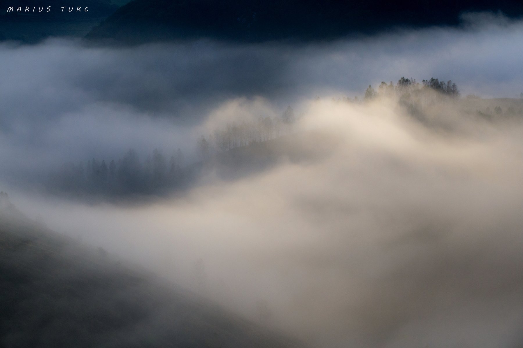 mist,fog,trees,nature,sunset,morning,colors, Marius Turc