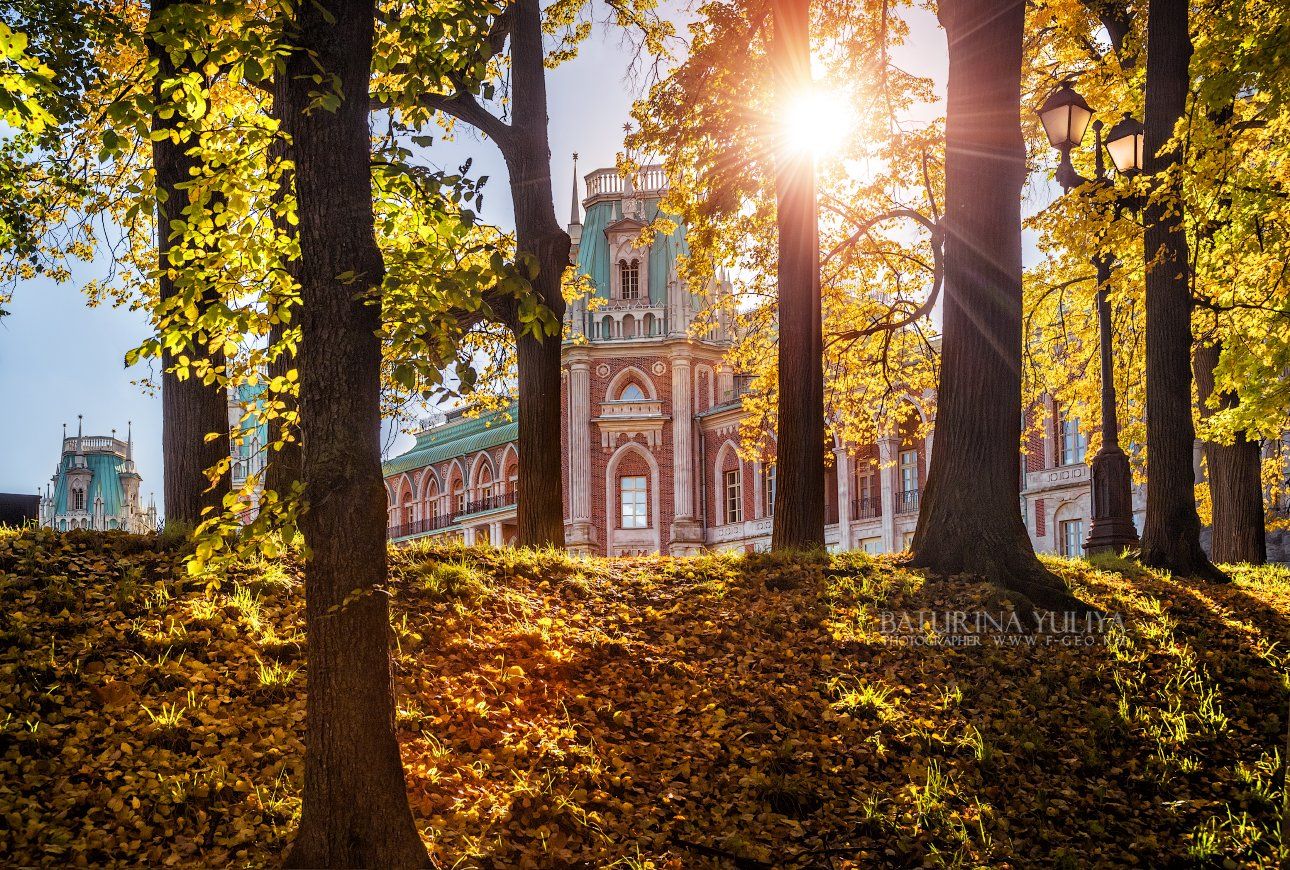 Москва, царицыно, парк, осень, солнце, дворец, Юлия Батурина