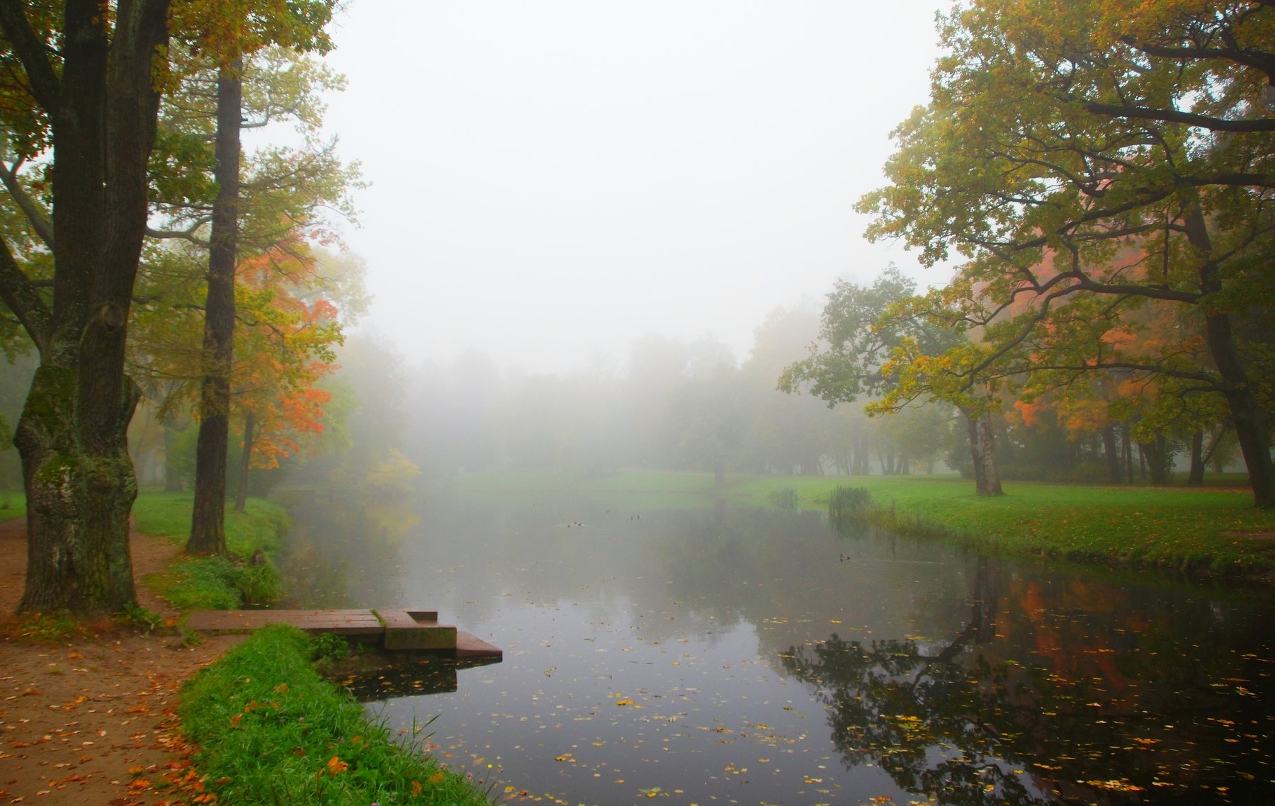 fog, autumn, morning, park, pond, lake, reflection, landscape, nature, alley, tree, leaf fall, silence, mood, sadness, Сергей Андреевич