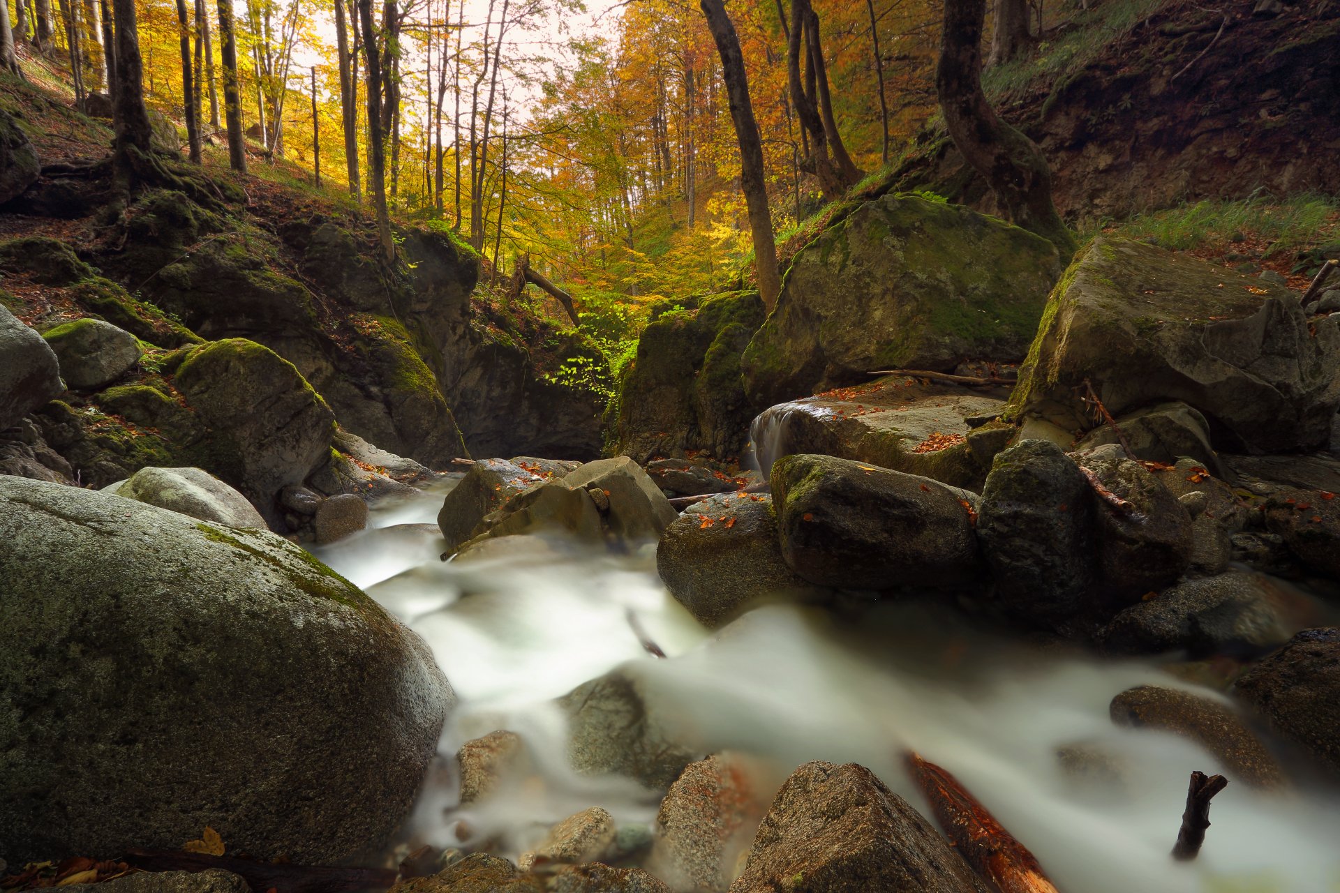 Autumn, Bulgaria, Forest, Mountain, River, Александър Сандев