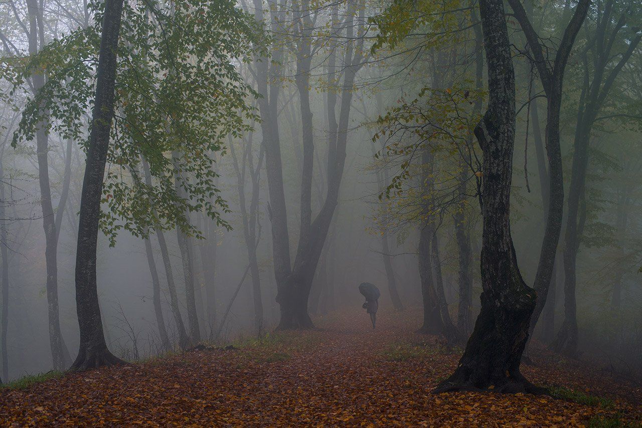 осень туман, Хасан Журтов