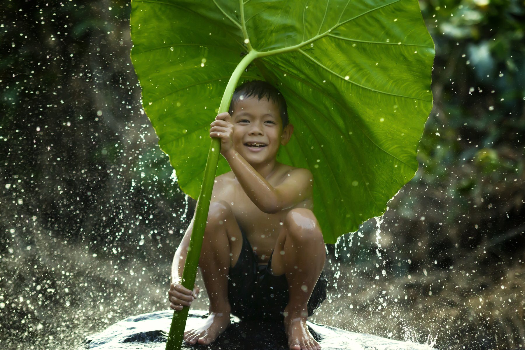 vietnam; kid; child; poor; rural; indonesia; water; thailand; enthusiasm; cambodia; splash; outdoor; fun; boy; myanmar; people; recreation; funny; local; strength; face; sunset; vacation; summertime; fantastic; expression; happiness; active; summer; cauca, Visoot Uthairam