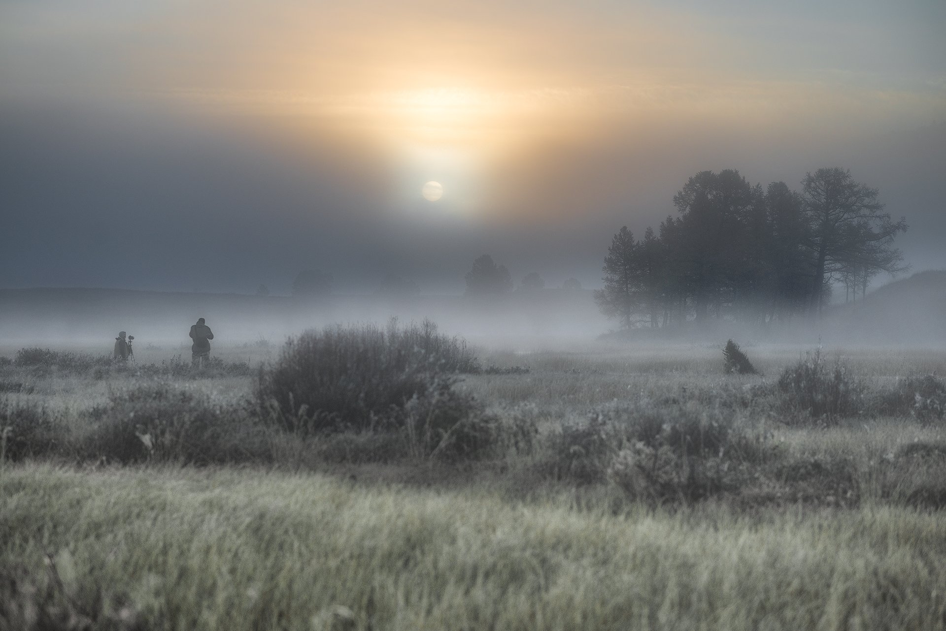 Алтай, туман, утро, фотографы, солнце, болото, Дмитрий Дубиковский