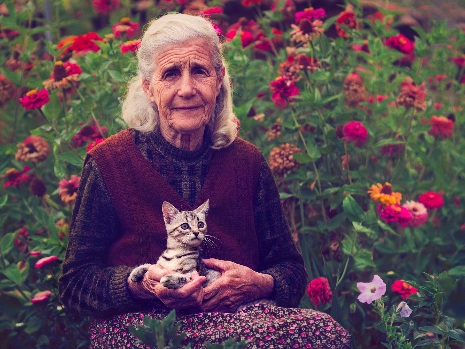 flowers, friends, cat, old woman, portrait, Demenzzi