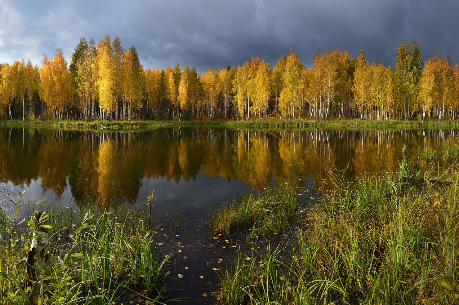 золотая осень, октябрь, солнечный свет, берёзы, непогода, небо, тучи, осень, озеро, отражение, трава, пейзаж, природа, Irina Shapronova