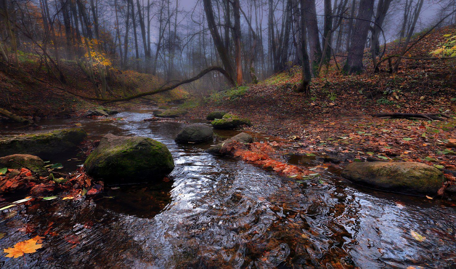 лес, осень, река, Виктор Климкин