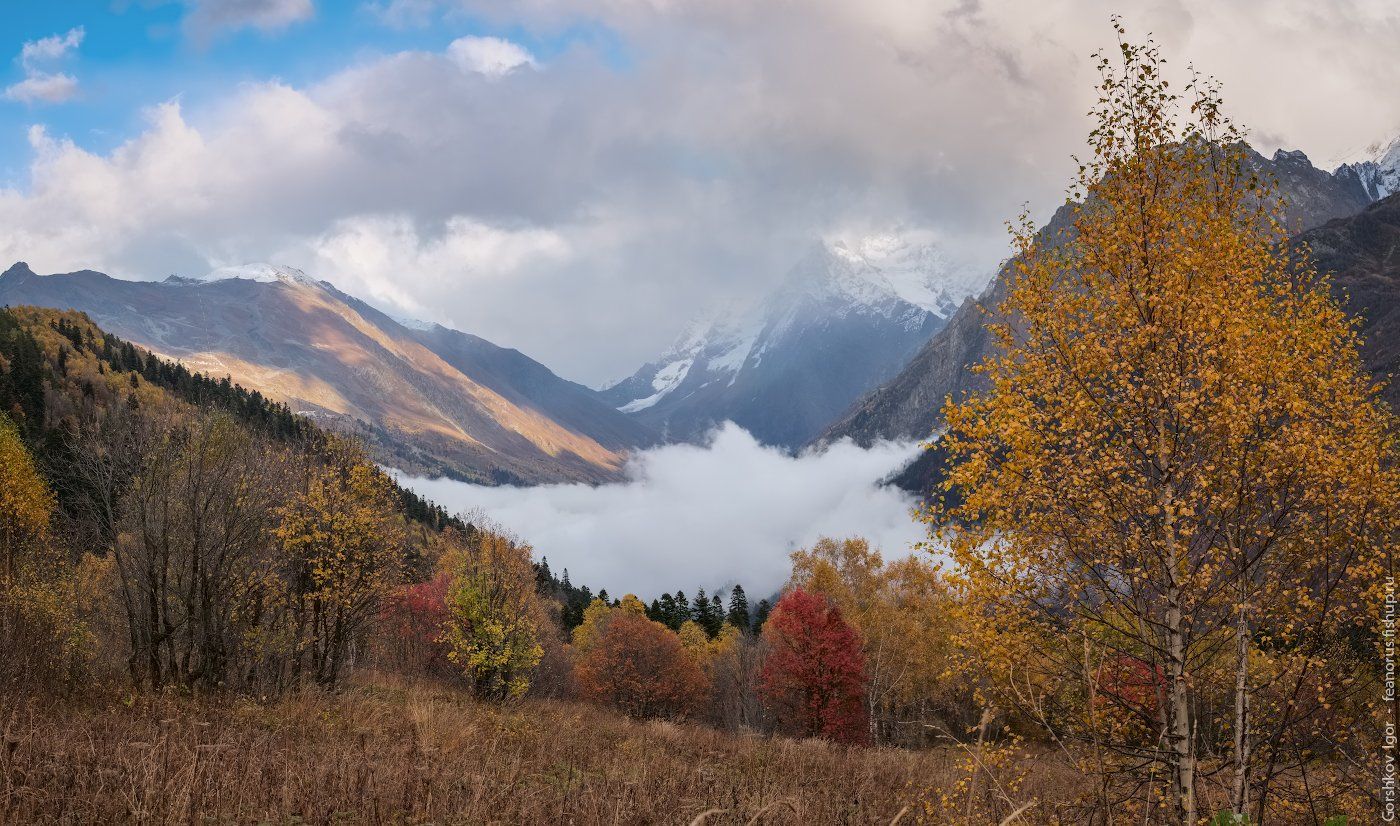 домбай, горы, кавказ,туман, осень, панорама, пейзаж, Горшков Игорь