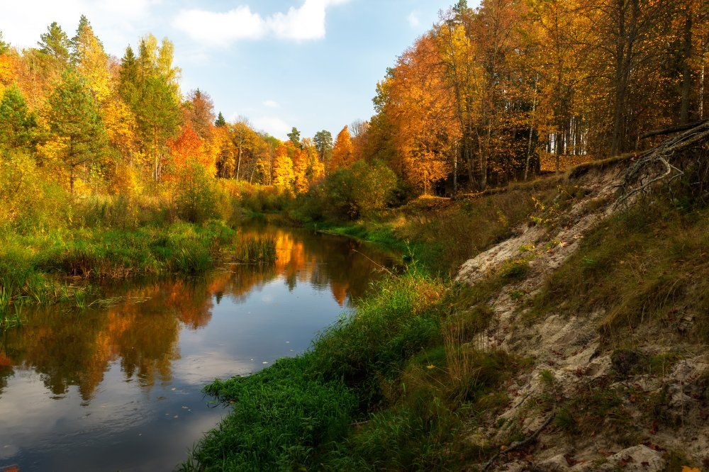 пейзаж,природа,осень,золотая осень,клены,лес,река,россия,октябрь, Юлия Лаптева
