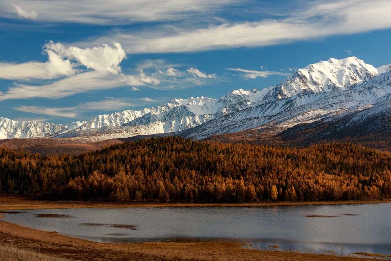 , Бруно Томский