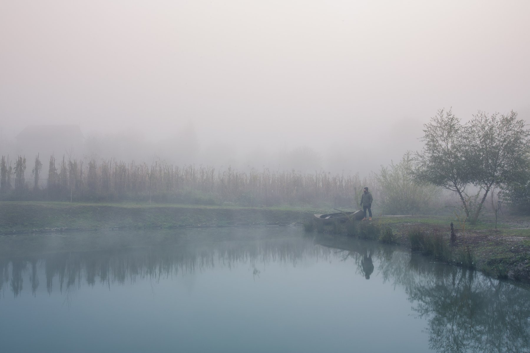 природа, туман, утро, озеро, вода, Александр Сутула