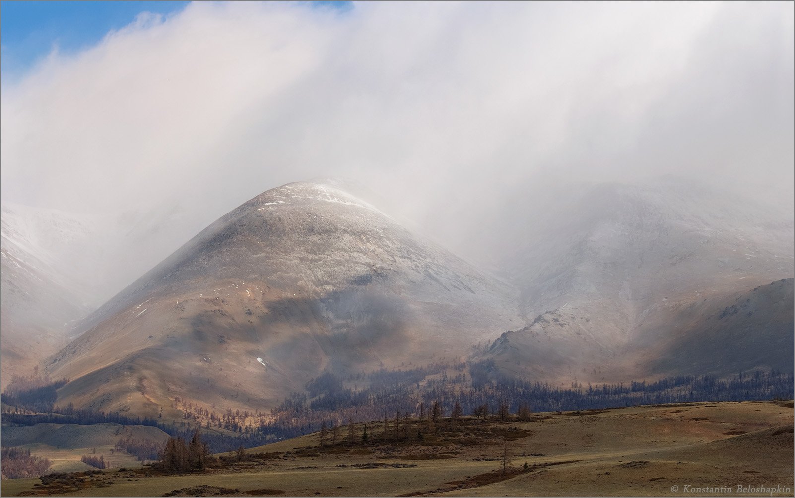 алтай, курай, весна, Константин Белошапкин