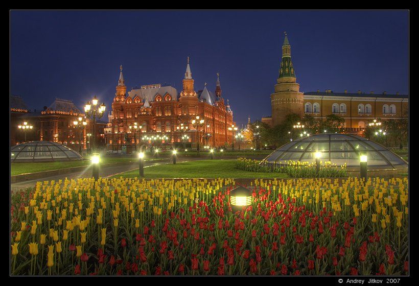 москва, май, манежная, тюльпаны, город, photohunter, Андрей Житков