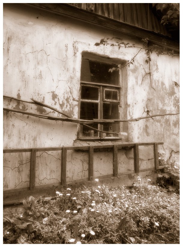 старый дом, Алексей Миронченко