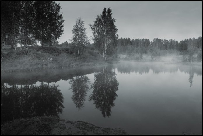 пейзаж, ночь, туман, озеро, лес, дерево, отражение, dyadyavasya, Дмитрий Шамин