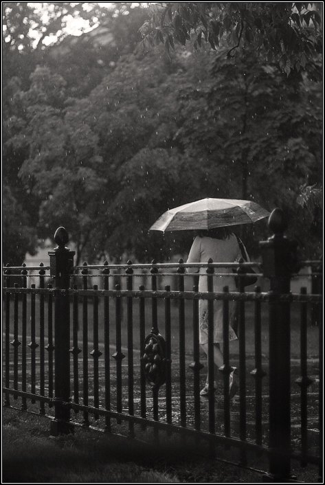 женщина, дождь, ливень, капли, вода, улица, зонт, бег, dyadyavasya, Дмитрий Шамин