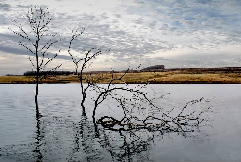 непрощенный ведьмино озеро, Nikolay Fedorin