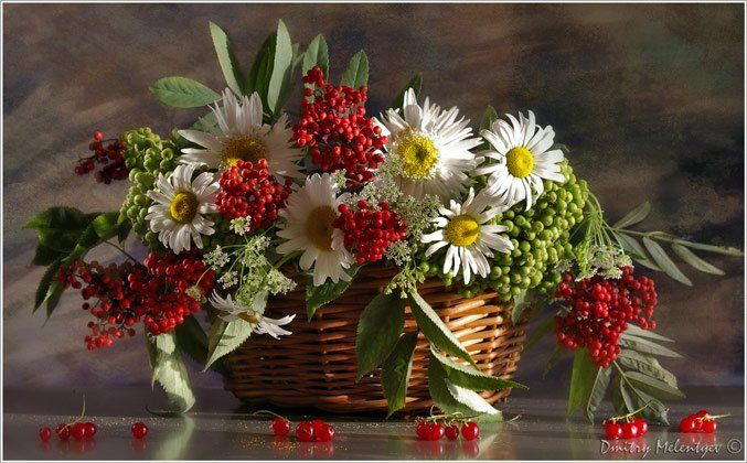 цветы, ягоды, корзинка, лето, июль, july, flowers, Dmitry Melentyev