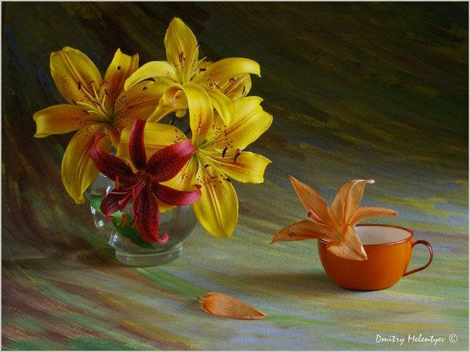 цветы лилии  букет натюрморт still life, Dmitry Melentyev