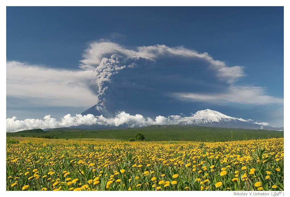 вулкан, извержение, поле, одуванчики, Николай Ушаков (Graff)