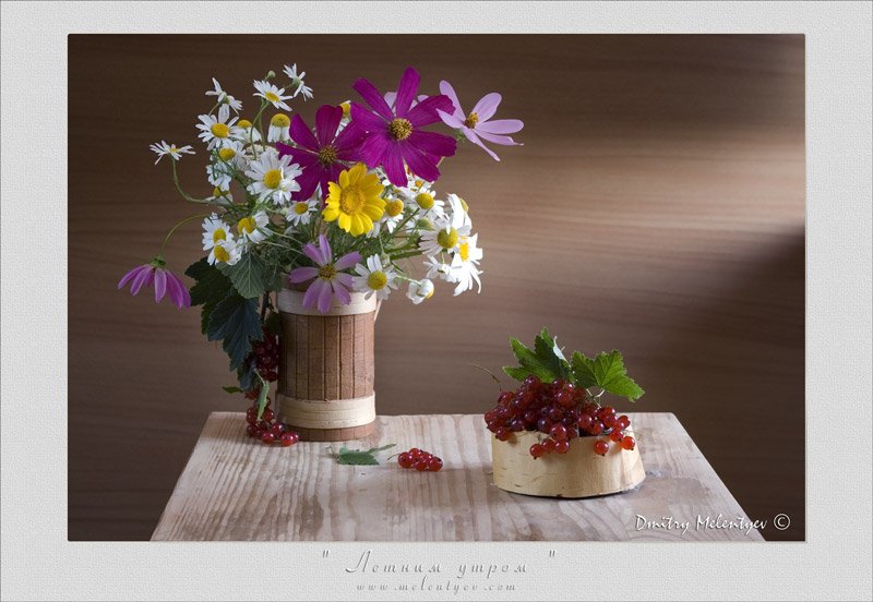 лето букет полевые цветы ромашки смородина натюрморт still-life, Dmitry Melentyev
