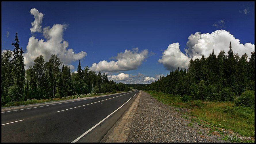 дорога, панорама, лес, сосны, облака, небо, трава, горизонт, Молчанов Иван