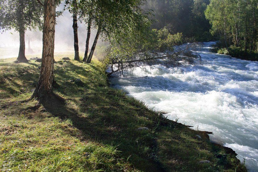 алтай, река, кучерла, утро, туман, Олег Шубаров